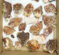 Lot: to Bladed Barite With Vanadinite - Pieces #138114-1